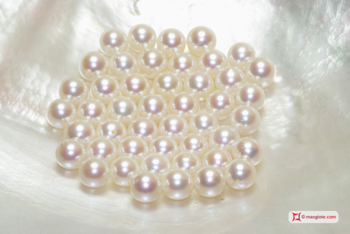 INFO Akoya Pearls Artikel im MaxGioie Shop bei 