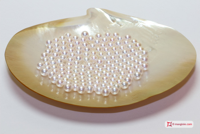 INFO Akoya Pearls Artikel im MaxGioie Shop bei 